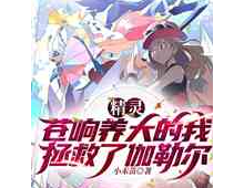 精灵：苍响养大的我拯救了伽勒尔（至499章）